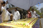 ChandraBabu Naidu Birthday Celebrations - 48 of 100