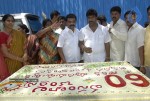 ChandraBabu Naidu Birthday Celebrations - 75 of 100