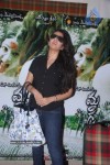 Charmi at Mangala Movie Press Meet - 13 of 48