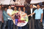 Chase Movie Audio Launch - 55 of 73