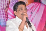 Chikkadu Dhorakadu Audio Launch  - 47 of 99