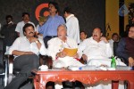 Chiru at Nellore S2 Multiplex Launch - 36 of 42