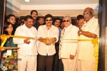 Chiru at Nellore S2 Multiplex Launch - 17 of 42