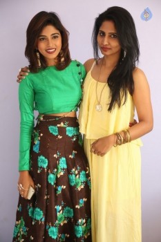 Chiru Godavalu Premiere Press Meet - 9 of 41