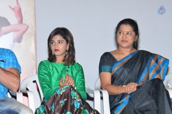 Chiru Godavalu Premiere Press Meet - 19 of 41