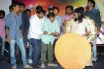 Chitram Cheppina Katha Audio Launch - 88 of 95