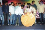 Chitram Cheppina Katha Audio Launch - 99 of 95