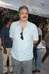 Cinema Chupista Maava Movie Opening - 91 of 115