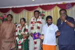 Comedy Actor Sivanarayana Murthy Son Wedding Reception - 30 of 41