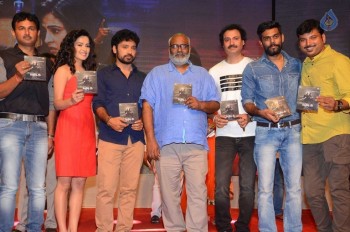 Control C Film Audio Launch - 39 of 42
