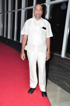 Courier Boy Kalyan Audio Launch 1 - 38 of 25
