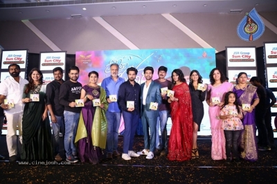 Crazy Crazy Feeling Movie Audio Launch - 16 of 30