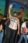 Current Theega Success Meet 03 - 37 of 69