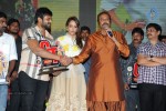 Current Theega Success Meet 03 - 66 of 69