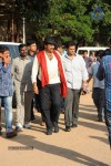 Current Theega Platinum Disc Function - 49 of 227