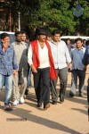 Current Theega Platinum Disc Function - 199 of 227