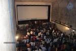 D For Dopidi Platinum Disc Function - 57 of 52