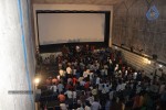D For Dopidi Platinum Disc Function - 47 of 52