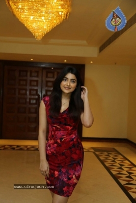 Dadasaheb Phalke Awards  Curtain Raiser Event - 1 of 39