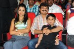 Dammu Movie Audio Launch 04 - 69 of 127