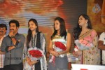 Dammu Movie Audio Launch 04 - 112 of 127