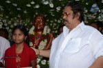 Dasari Padma Statue Inauguration - 33 of 51