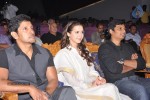 David Tamil Movie Audio Launch - 14 of 36