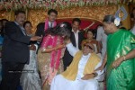 Dayanidhi Alagiri Wedding Reception - 11 of 33
