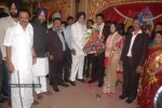 Dayanidhi Alagiri Wedding Reception - 27 of 33