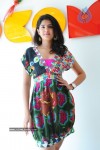 Deeksha Seth at TATA Docomo Showroom - 24 of 105