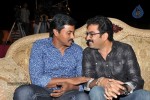 Denikaina Ready Audio Launch 01 - 16 of 109