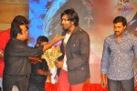 Denikaina Ready Audio Launch 03 - 14 of 39