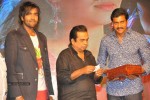 Denikaina Ready Audio Launch 03 - 27 of 39