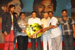 Denikaina Ready Audio Launch 03 - 28 of 39