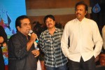 Denikaina Ready Audio Launch 04 - 108 of 144