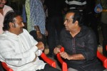 Denikaina Ready Audio Launch 04 - 144 of 144