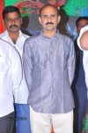 Devadas Style Marchadu Audio Launch 02 - 13 of 106