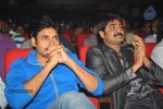Devaraya Movie Audio Launch 02 - 26 of 92