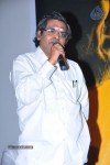Dhoni Movie Audio Launch - 34 of 58