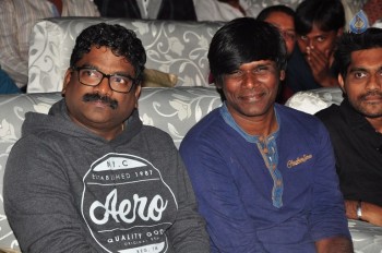 Dhruva Pre Release Function 1 - 29 of 48