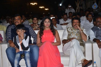 Dictator Audio Launch 3 - 161 of 149