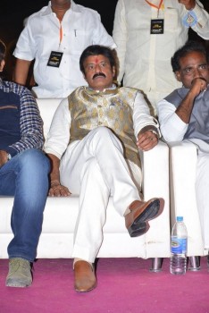 Dictator Audio Launch 3 - 60 of 149