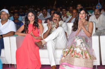 Dictator Audio Launch 5 - 29 of 147