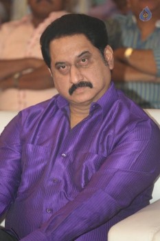 Dictator Audio Success Meet 2 - 13 of 99