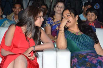 Dictator Audio Success Meet 2 - 56 of 99