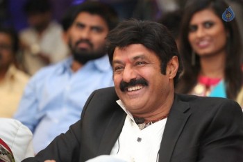 Dictator Audio Success Meet 3 - 39 of 42