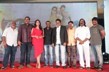 Dictator Audio Success Meet 4 - 87 of 125