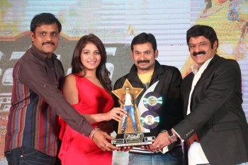 Dictator Audio Success Meet 4 - 91 of 125