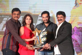 Dictator Audio Success Meet 4 - 110 of 125