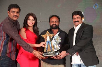Dictator Audio Success Meet 4 - 119 of 125